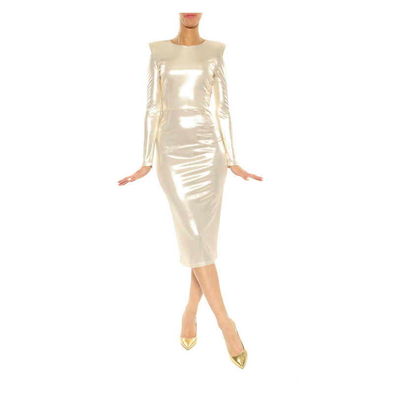 Dress Elisabetta Franchi silver